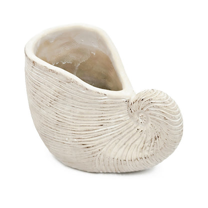 8.5x5.5x6.3" Sand and Cement Nautilus Shell Planter with Textured Beige Finish - image 2