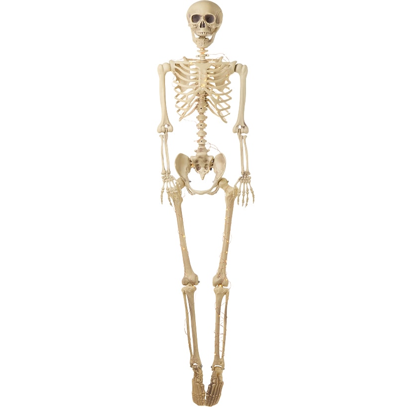 Halloween Skeleton Poseable Lighted Decor 16 Inch 35 Inch and 65 Inch