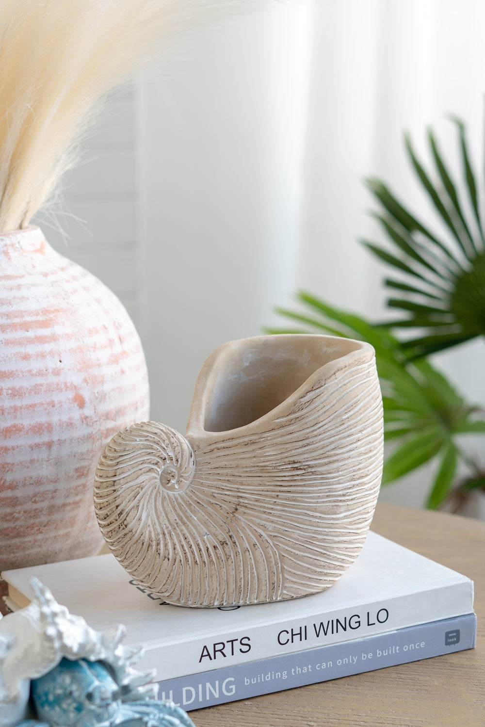 8.5x5.5x6.3" Sand and Cement Nautilus Shell Planter with Textured Beige Finish - image 12