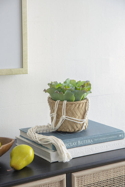 Set of 2, 5x5x4.5" Hanging Planter With Cotton Hanger, Bohemian Style - image 9