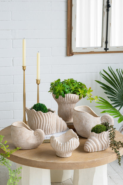 8.5x5.5x6.3" Sand and Cement Nautilus Shell Planter with Textured Beige Finish - image 14
