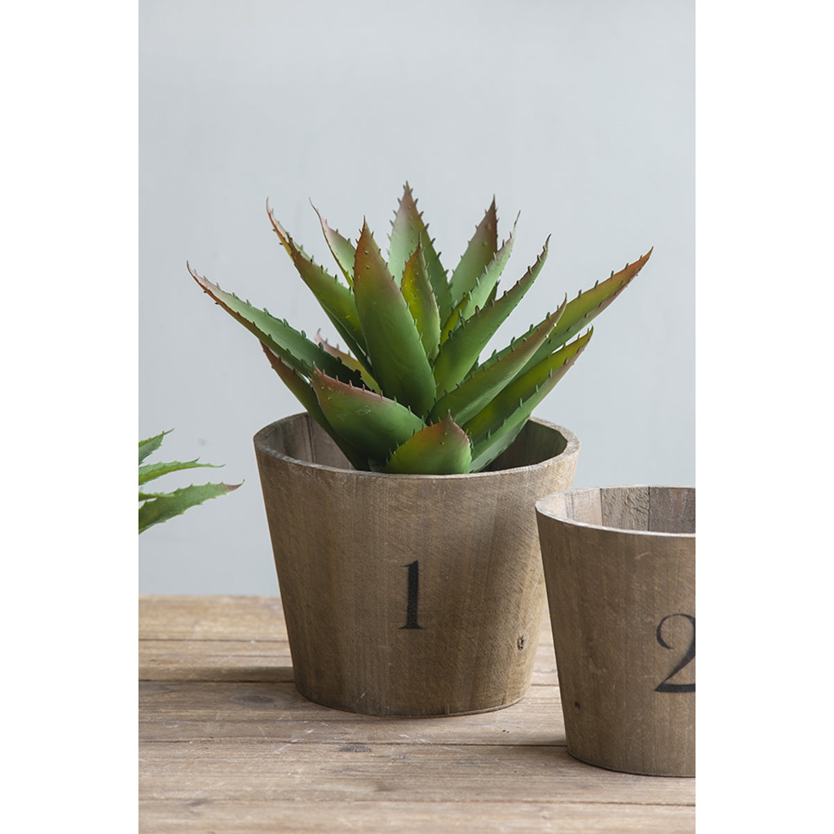 Set of 3 Thornton Flower Planter, L:8.3x8.3x6.5", M:6.8x6.8x6.1", S:5.3x5.3x5.1" - image 4