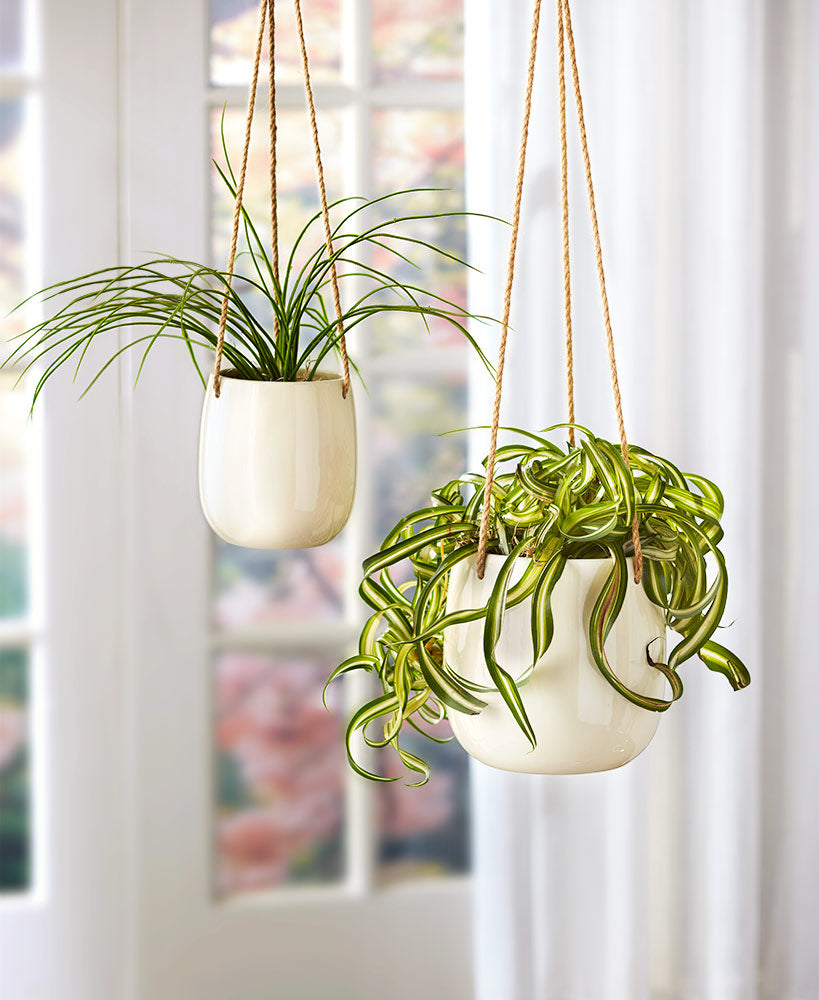 Sets of 2 Hanging Ceramic Planters