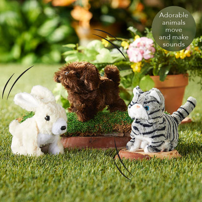 Hoppy the Rabbit and Friends