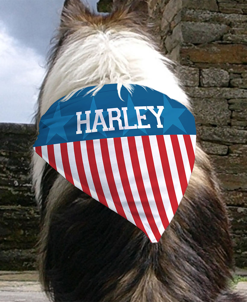 Personalized Pet Bandanas Patriotic or Dog Bones
