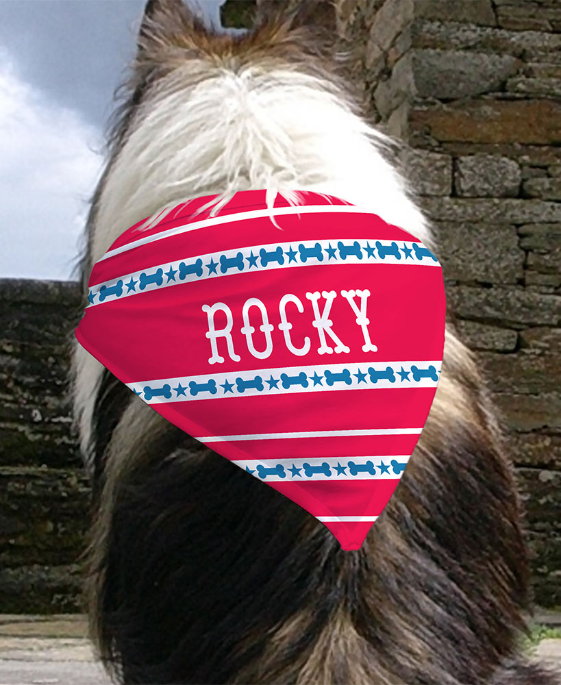 Personalized Pet Bandanas Patriotic or Dog Bones