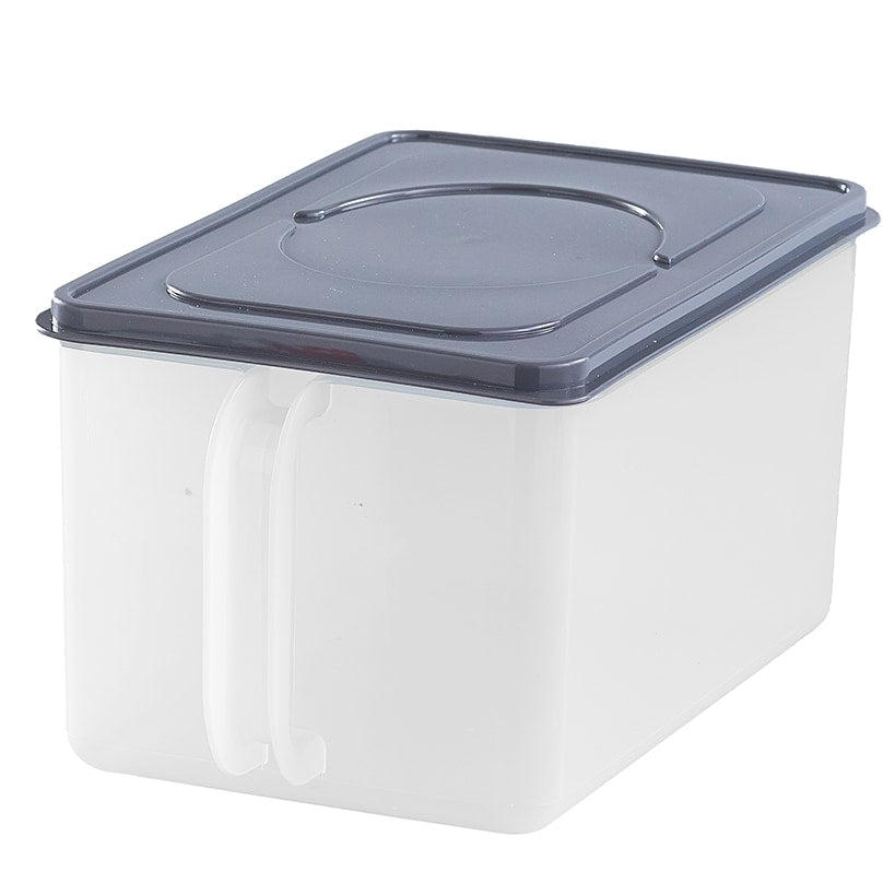 Clear Food Storage Container with Handle