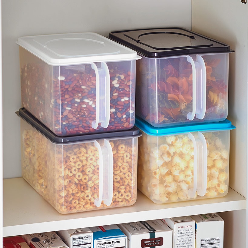 Clear Food Storage Container with Handle