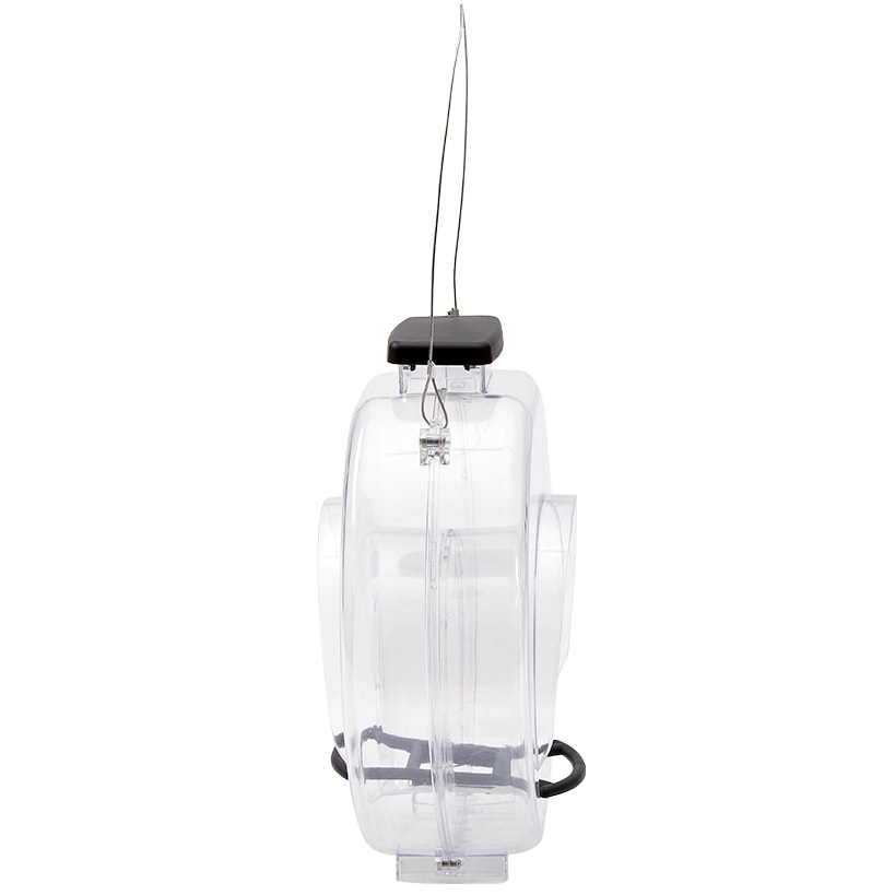Jumbo Clear Round Bird Feeder