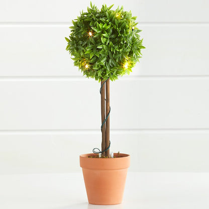 Lighted Faux Boxwood Topiaries or Wreath