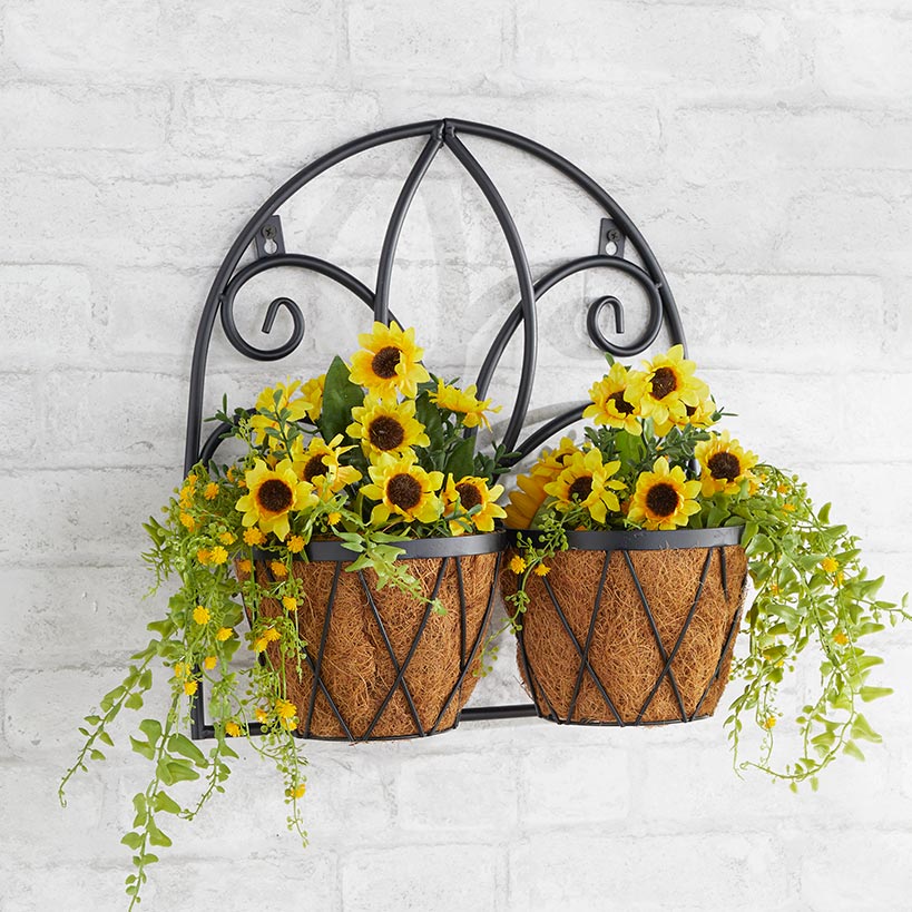 Decorative Wall Planters with Coir Liners