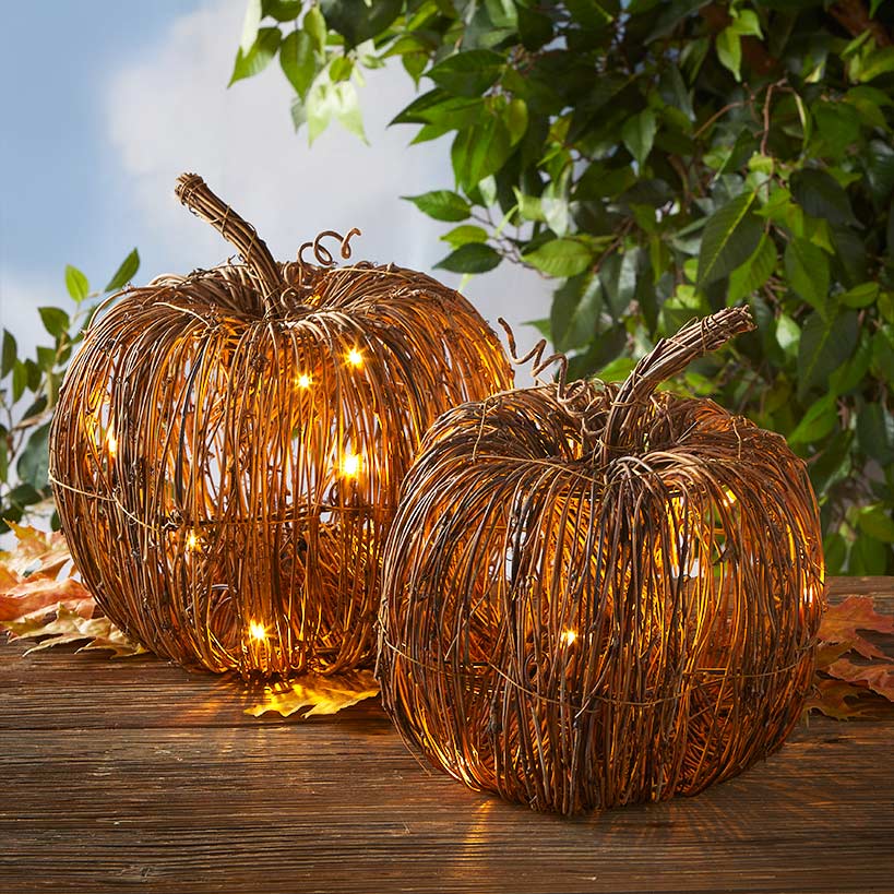 Lighted Pumpkin Grapevine Collection