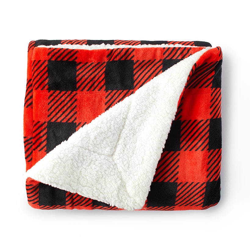 Buffalo Check Accent Pillows