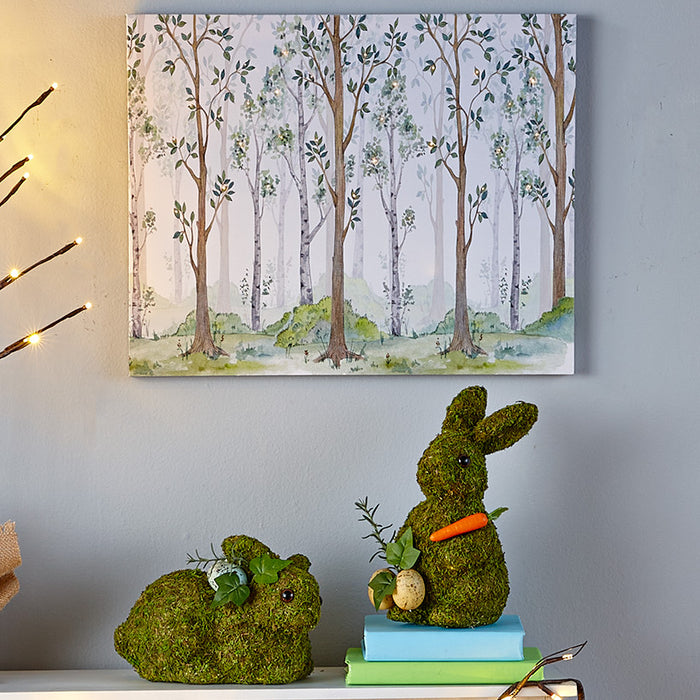 Spring Woodland Forest Home Collection LTD Commodities