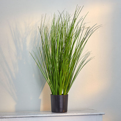 Artificial Forever Plants