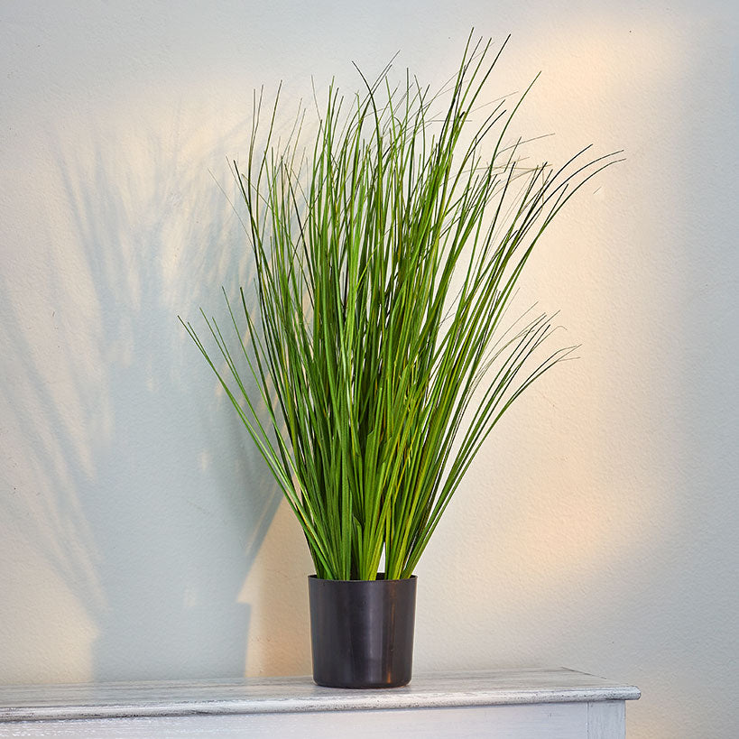 Artificial Forever Plants