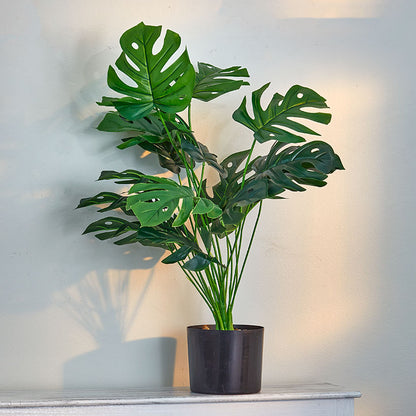Artificial Forever Plants