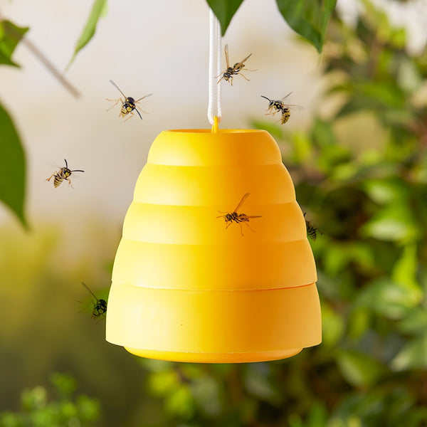 Beehive_Wasp_Trap_Beehive_Wasp