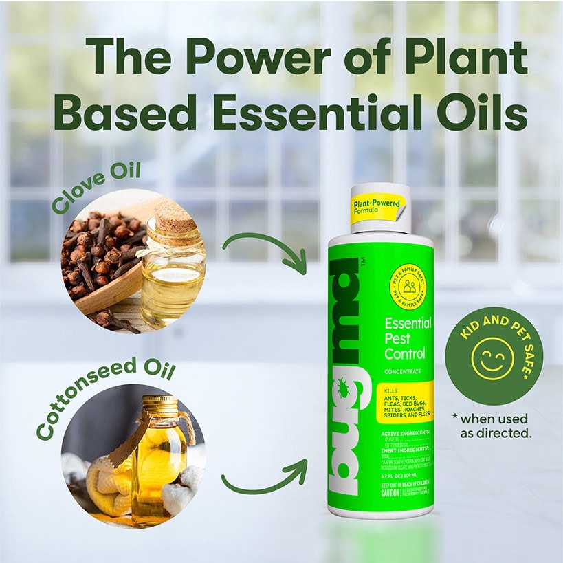 BugMD™ Essential Pest Control - Safe and Effective Pest Elimination