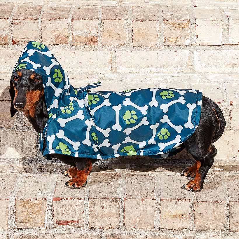 Dog Rain Poncho - Water-Resistant with Secure Belly Strap#select-color_blue