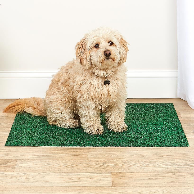 Drymate® Dog Potty Pad-Reusable, Absorbent, Waterproof, Slip-Resistant