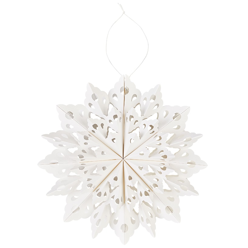 Frosted Paper Snowflakes