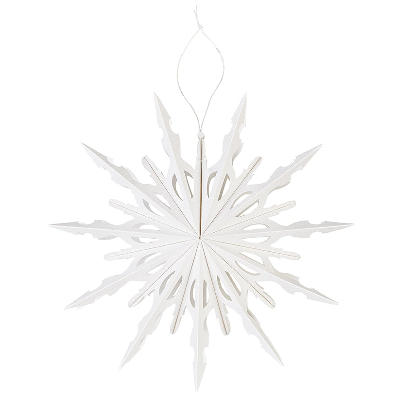 Frosted Paper Snowflakes