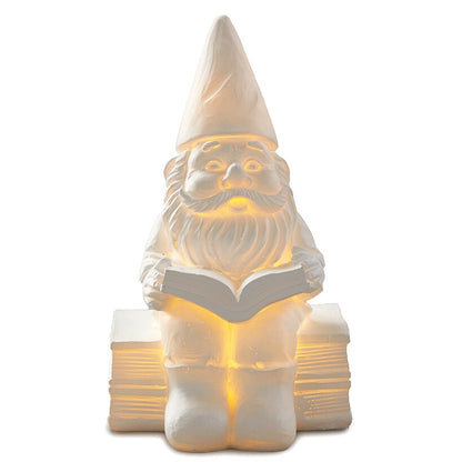 Illuminating Tabletop Gnome