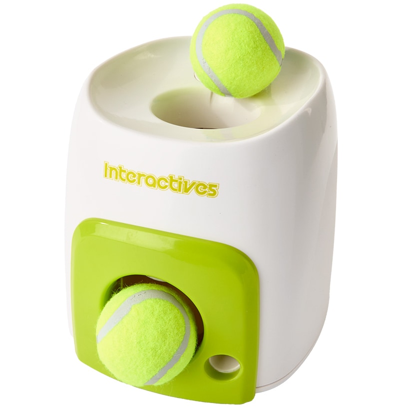 Interactives™ Fetch ‘N Treat Dog Ball Reward Toy