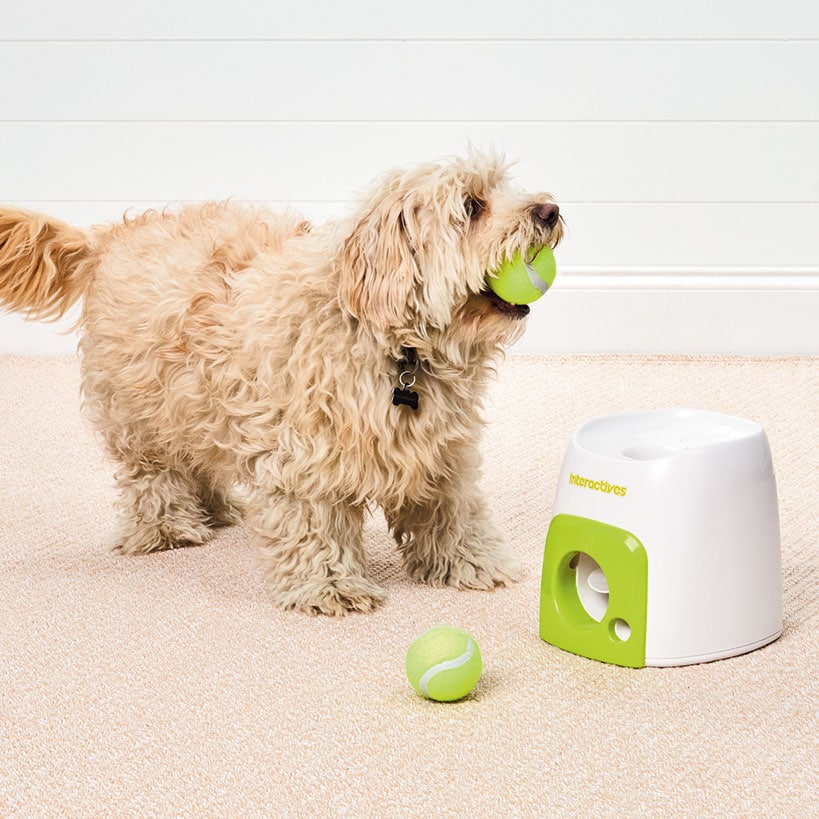 Interactives™ Fetch ‘N Treat Dog Ball Reward Toy