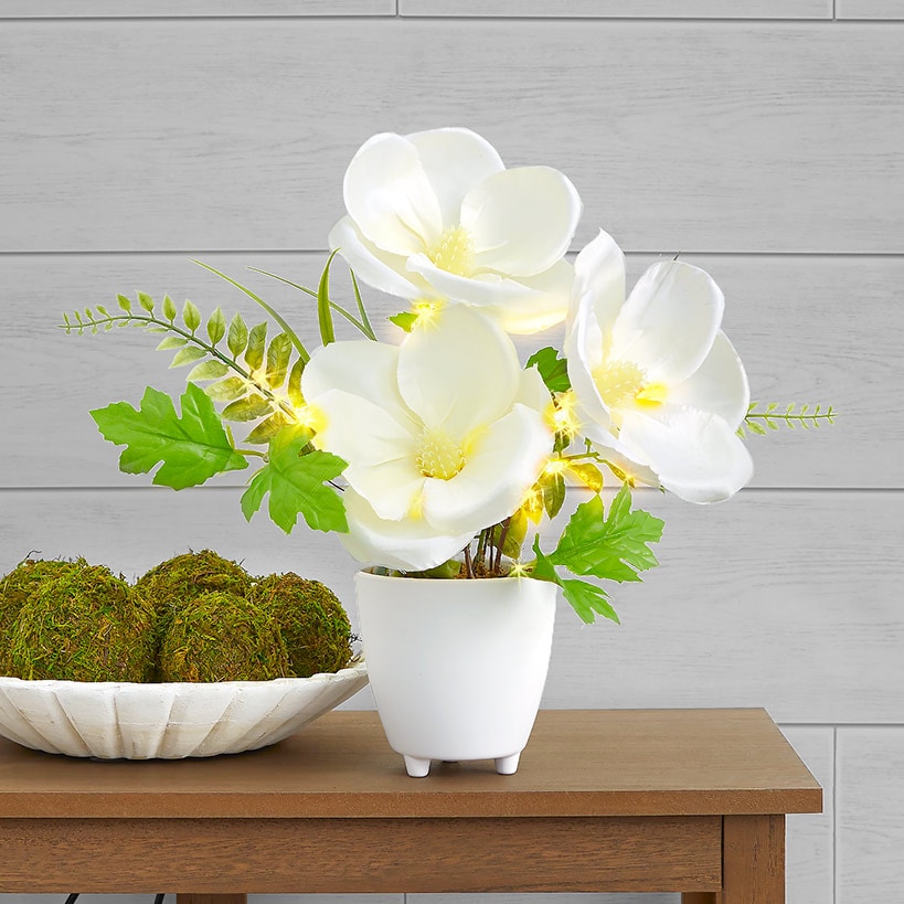 Lighted Spring Potted Flower Décor - Magnolia, Peony, or Sunflower#select-flower_magnolia
