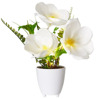 Lighted Spring Potted Flower Décor - Magnolia or Peony