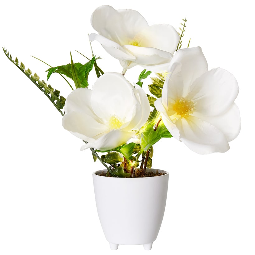 Lighted Spring Potted Flower Décor - Magnolia or Peony