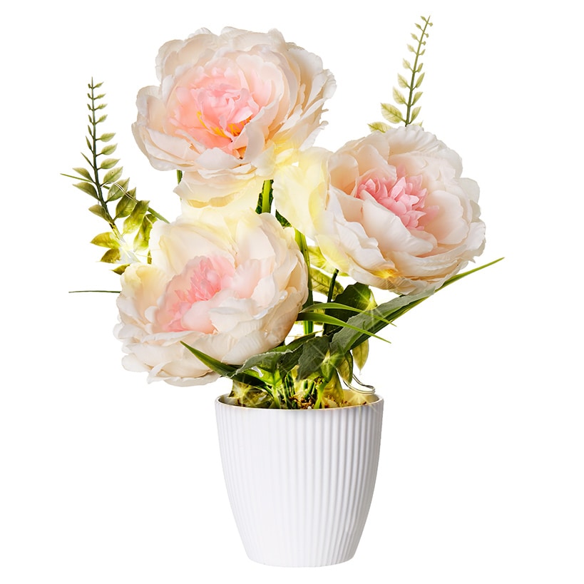 Lighted Spring Potted Flower Décor - Magnolia or Peony