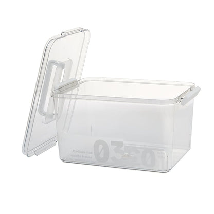 Storage Container with Lid and Handle