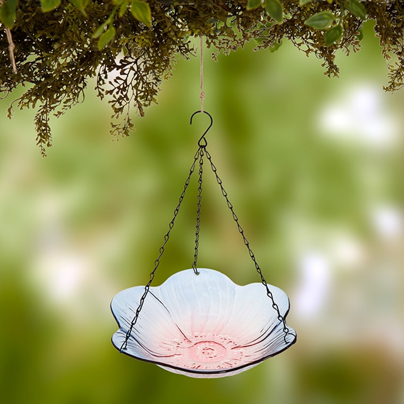 Hanging Glass Birdbath - Flower Shape#select-size_large