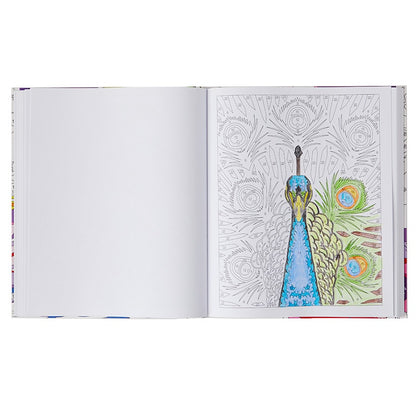 Large Print Activity Books