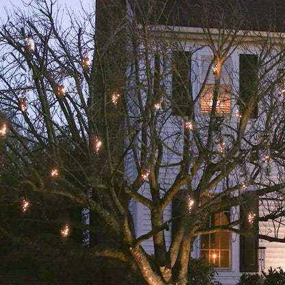 Lighticle Lights
