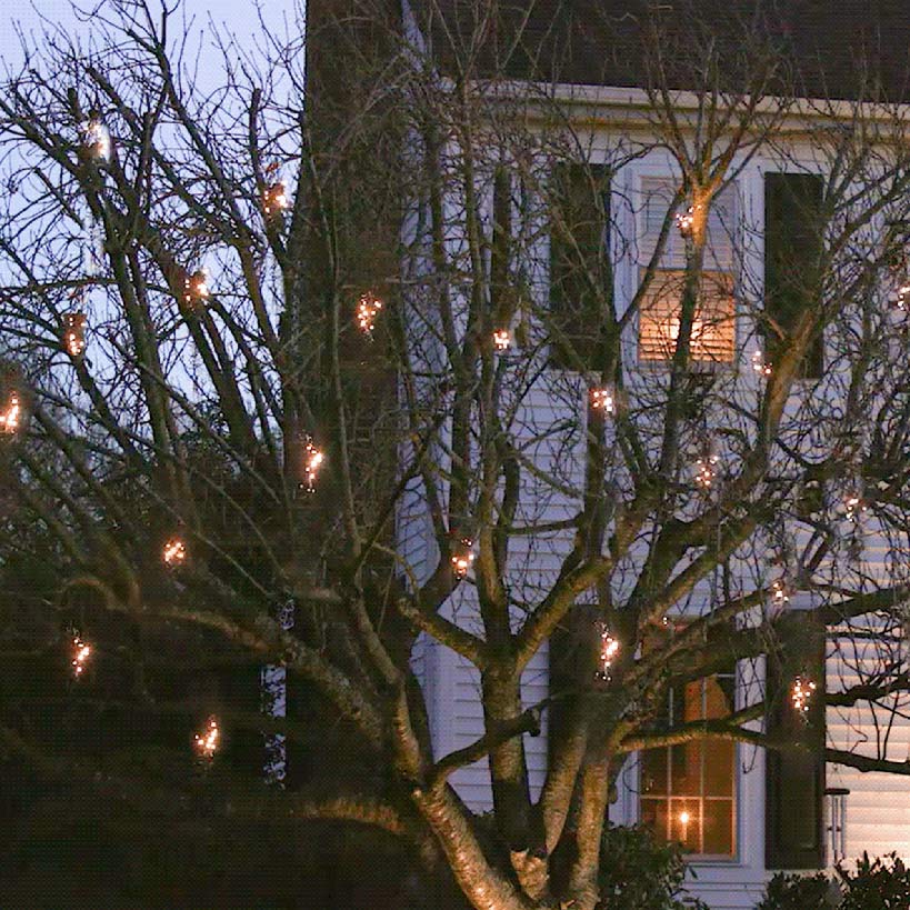 Lighticle Lights
