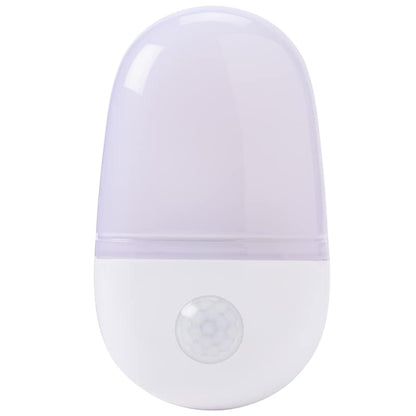 Motion Sensor Light