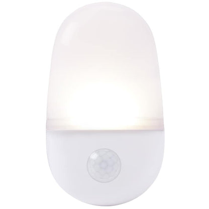 Motion Sensor Light