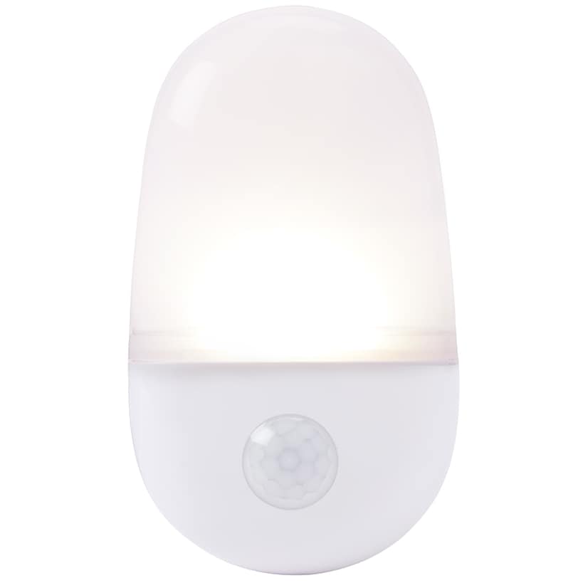 Motion Sensor Light