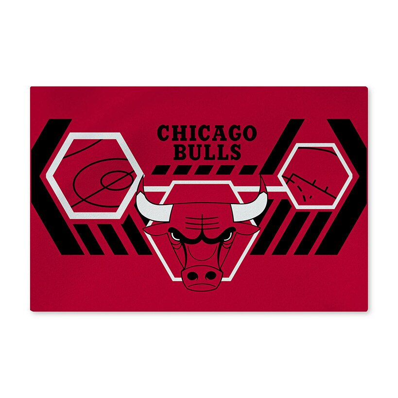 NBA Agile Washable Rug