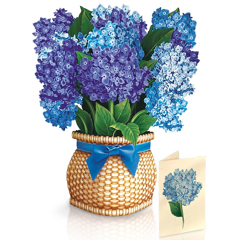Nantucket Hydrangeas Pop-Up Flower Bouquet Card