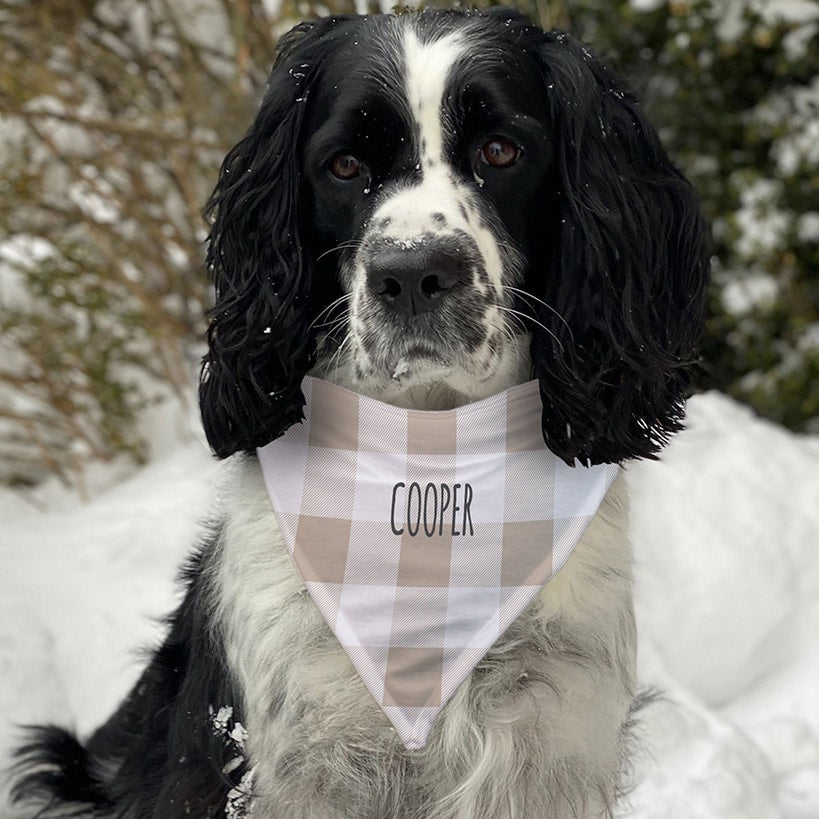 Personalized Dog Bandana Plaid