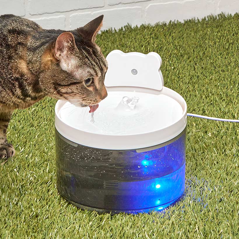 Pet Water Fountain