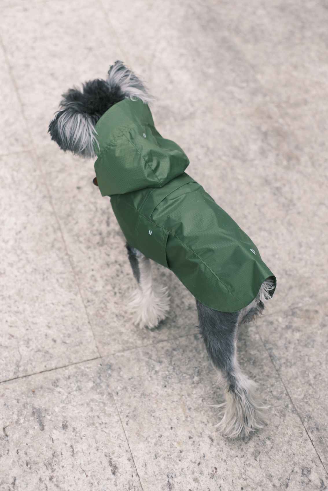 Capsule Raincoat - Green