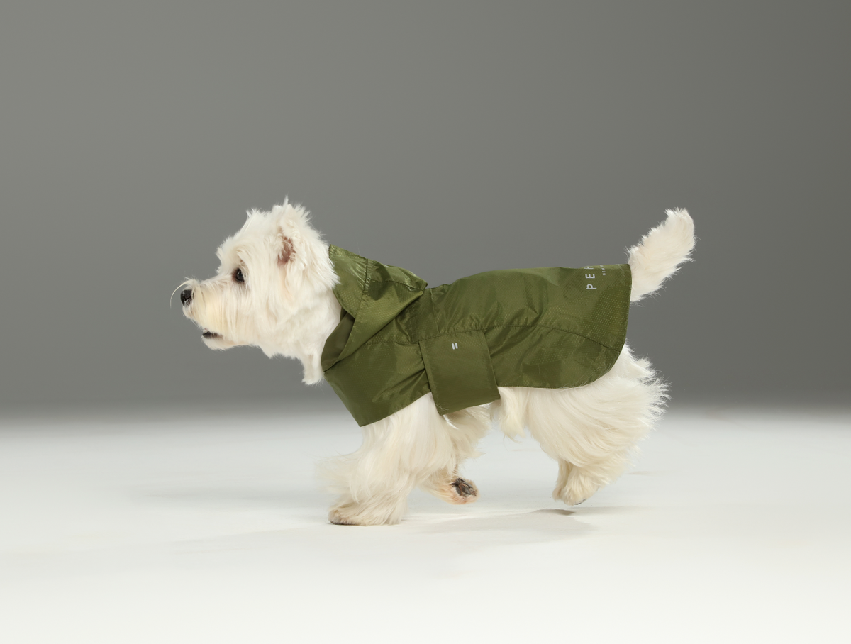Capsule Raincoat - Green
