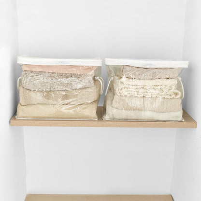 Clear Closet Storage Chests