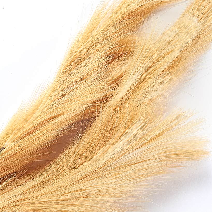 Natural Hays and Grasses Home Accents#select-item_natural-set-of-2-picks